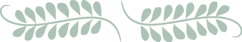 Image de séparation